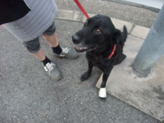 2010.10.16勉強会ウォーキング 042